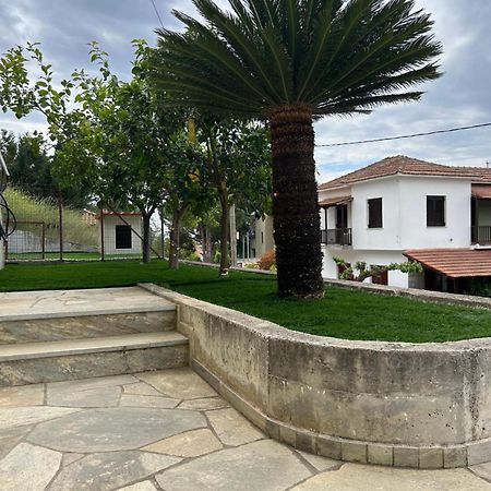 Athena'S Luxury Place Agria Exterior foto